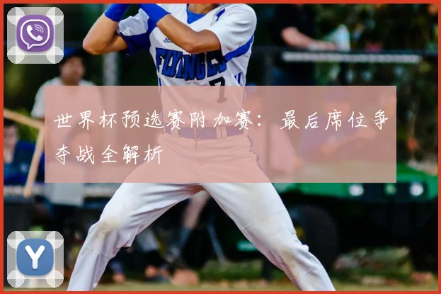 世界杯预选赛附加赛：最后席位争夺战全解析