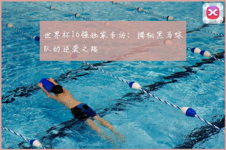 世界杯16强独家专访:揭秘黑马球队的逆袭之路