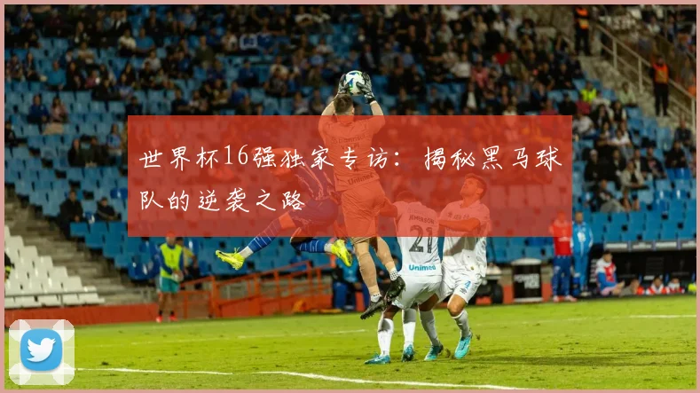 世界杯16强独家专访:揭秘黑马球队的逆袭之路