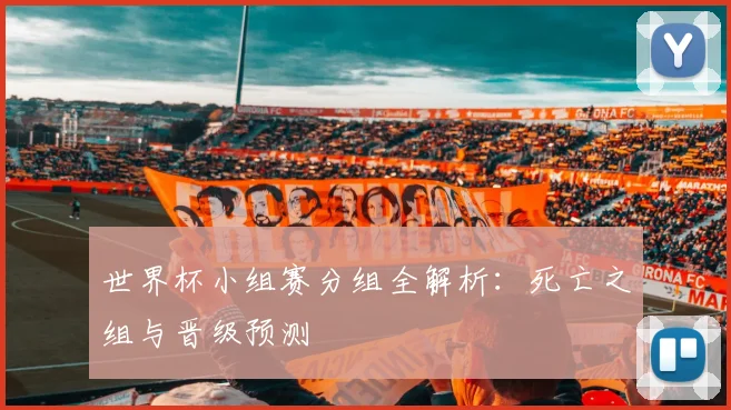 世界杯小组赛分组全解析：死亡之组与晋级预测